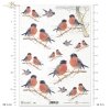 ptak, ptaki na gałęzi, ptaszek, ptaszki, gil, zima, R590, birds on a branch, bird, winter,  pájaros en una rama, pájaro, invierno, Vögel auf einem Zweig, Vogel, Vögel, Winter